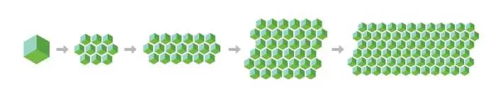cripto cardano (platformă blockchain)
