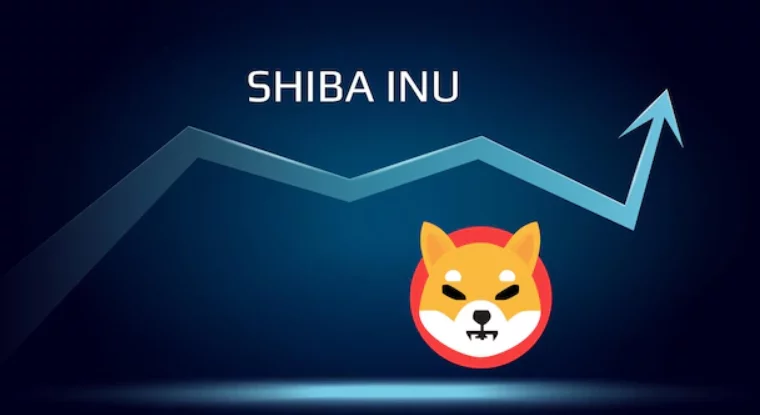 Cum va fi Shiba Inu în 2023
