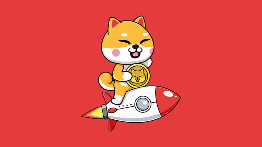 Shiba Inu unde să cumpere

