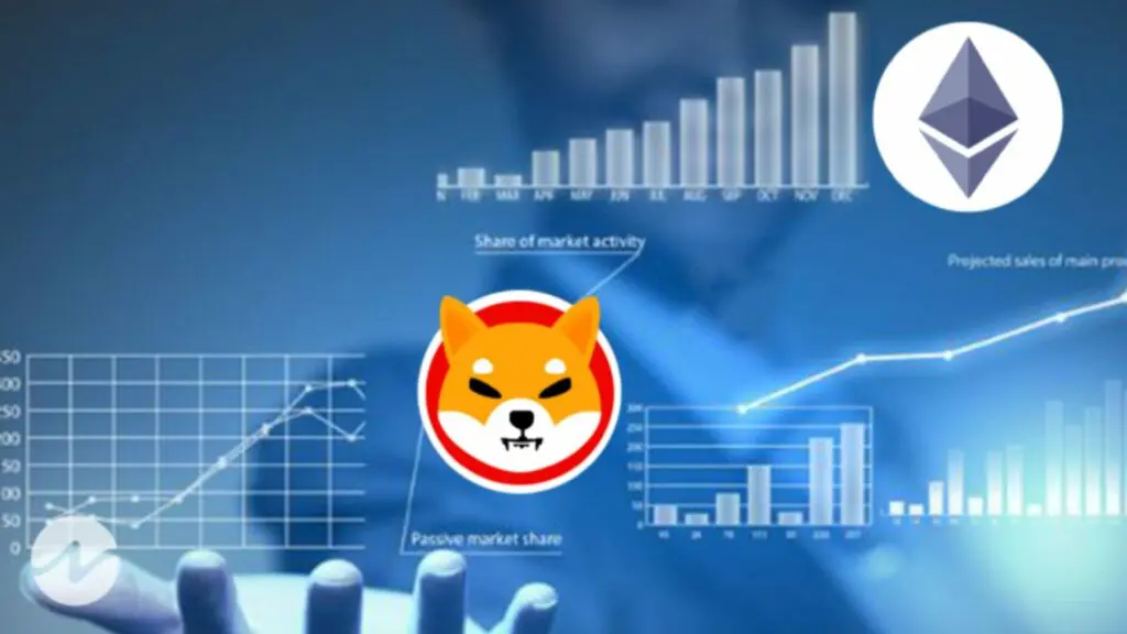 Ce se va întâmpla cu Shiba în 2023