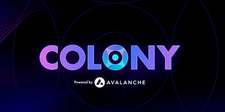 Ce este cripto de colonie?