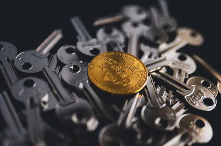 Care este scopul Avalanche Crypto?
