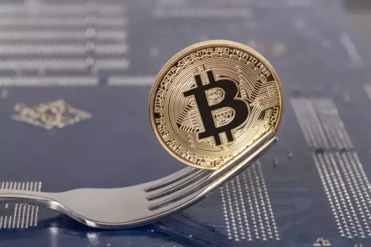 Ce se întâmplă cu monedele dvs. după un hard fork crypto
