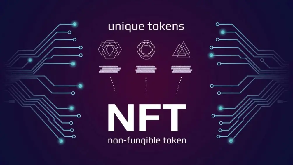 Care sunt scopurile nft cripto