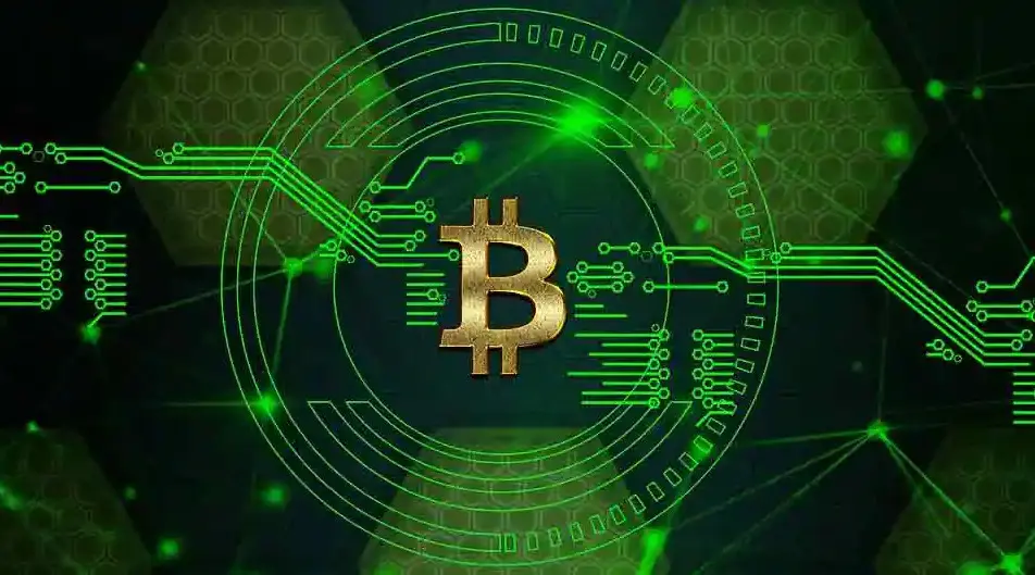 Cum să stocați criptomonedele
