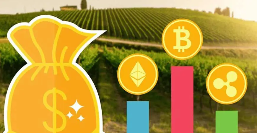 Este investiția în cripto ca un joc de noroc?