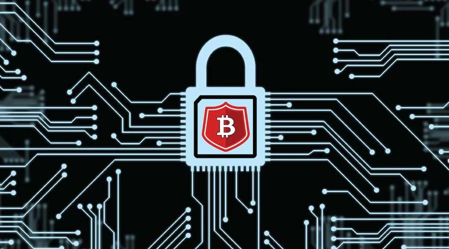 Care este cel mai popular stocarea în siguranță a cripto