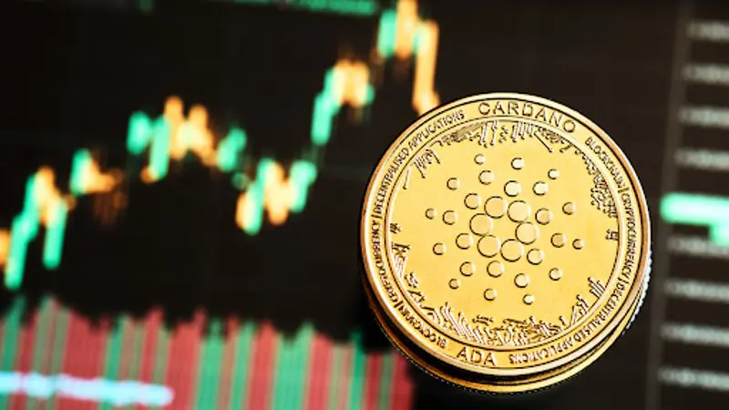 Creșterea numărului de portofele Cardano explodează