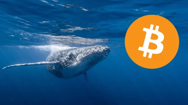 Antica balenă Bitcoin mișcă $60M după 12 ani!