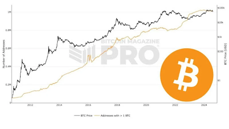 Grafic care arată numărul de adrese Bitcoin care dețin 1 BTC
