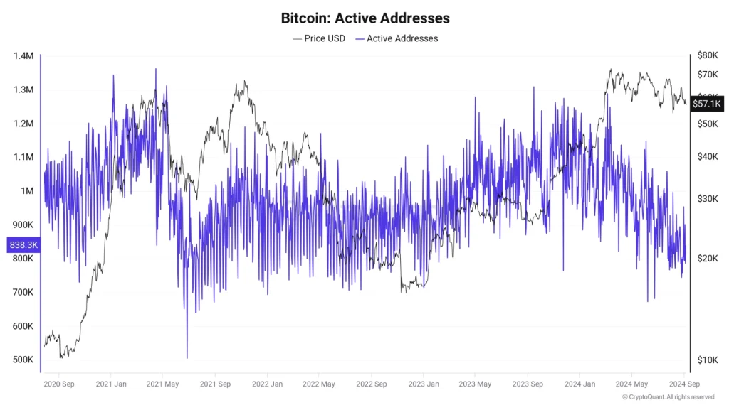 Bitcoin-adrese-active